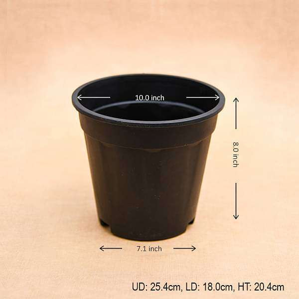 PLASTIC POT BLACK  10 INCH (PACK OF 6 PC)